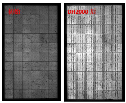 圖13 組件采用VA33含量EVA封裝后，DH2000前后的EL圖
